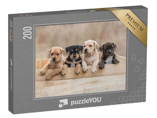 puzzle 200 dílků „Štěňata amerického stafordšírského teriéra v krabici“