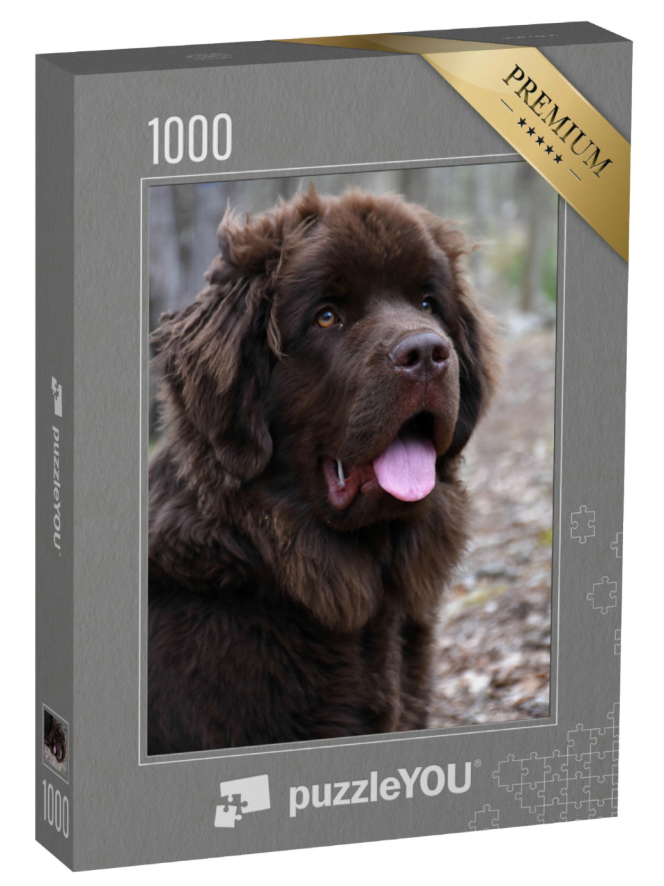 puzzle 1000 dílků „Hnědá novofundlandská fena“