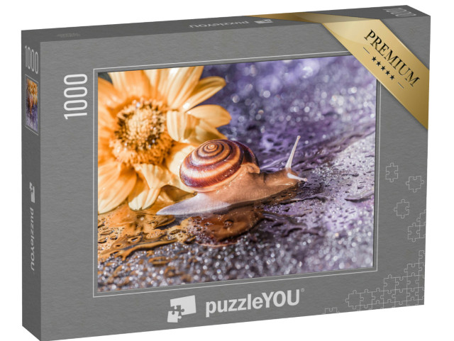 puzzle 1000 dílků „Malý šnek mezi kapkami deště“