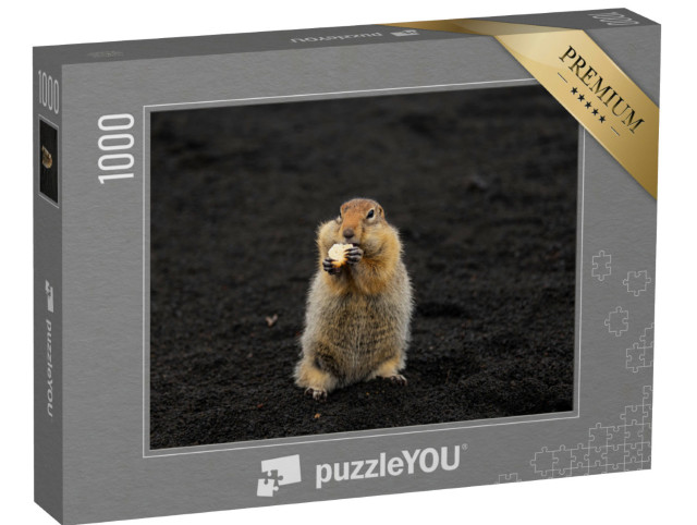 puzzle 1000 dílků „Svišť ve vulkanickém písku“