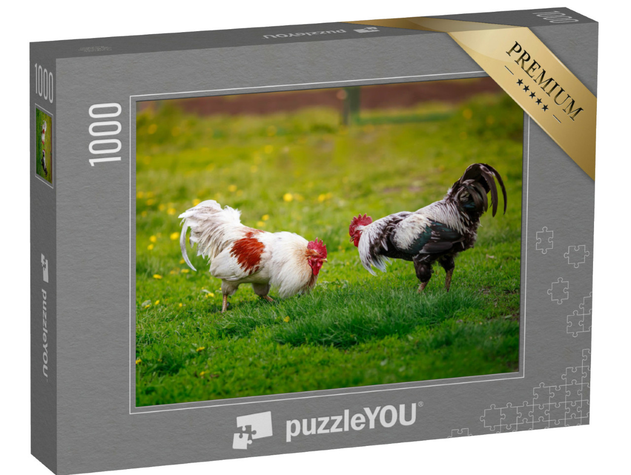 puzzle 1000 dílků „Dva dominantní kohouti, připraveni bojovat“