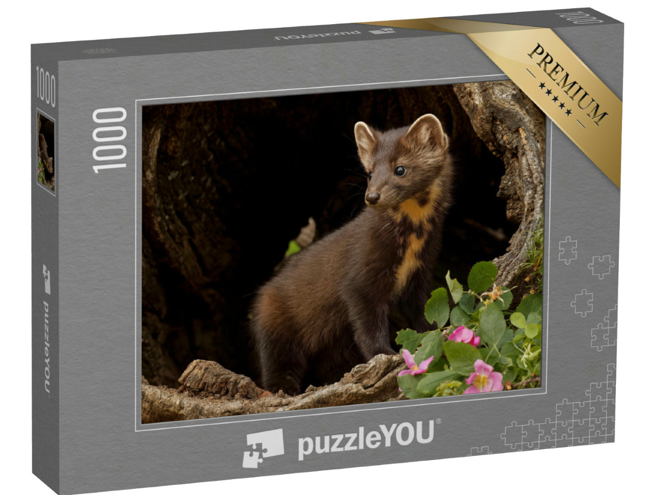puzzle 1000 dílků „Kuna lesní v Montaně, USA“