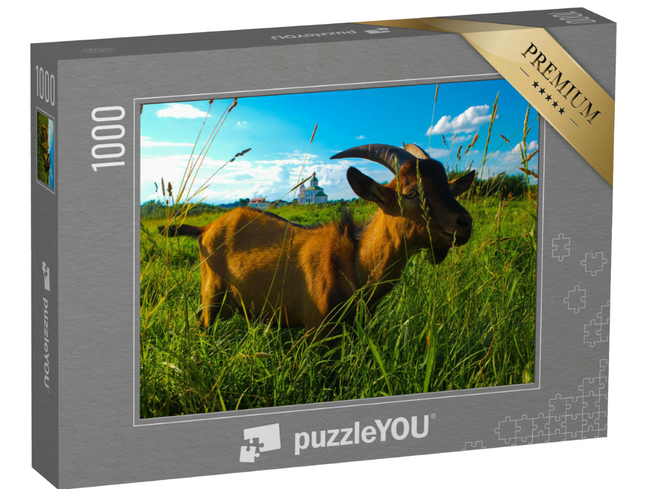 puzzle 1000 dílků „Domácí koza žeroucí svěží trávu na poli ve vesnici“