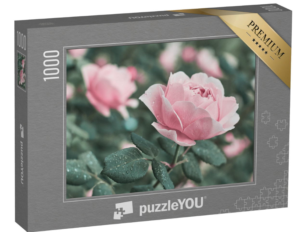 puzzle 1000 dílků „Růžové růže v přírodě“