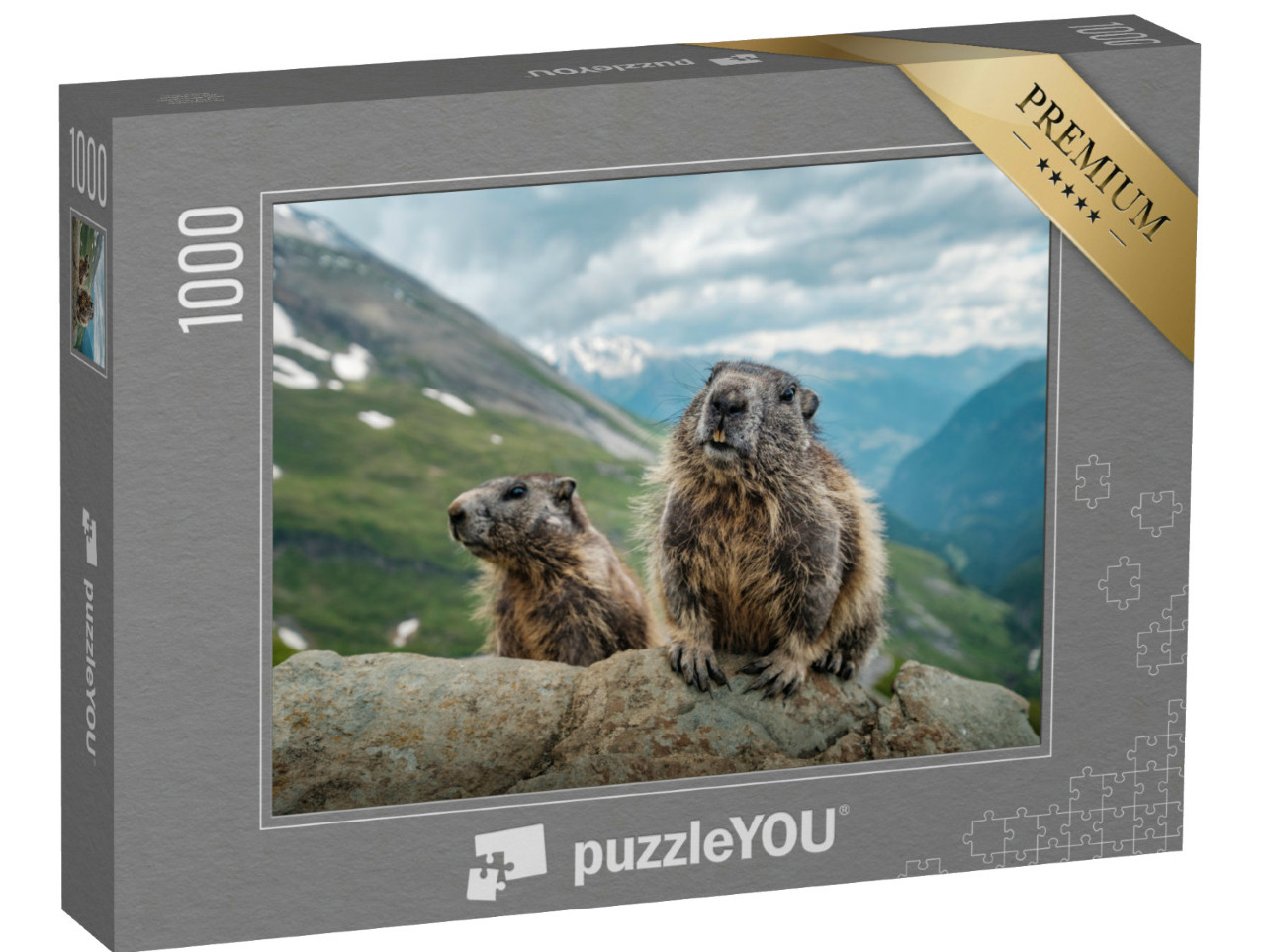 puzzle 1000 dílků „Dva svišti a krásný výhled na Großglockner“