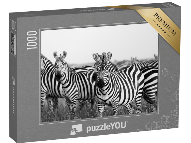 puzzle 1000 dílků „Stádo zeber v Masai Mara“