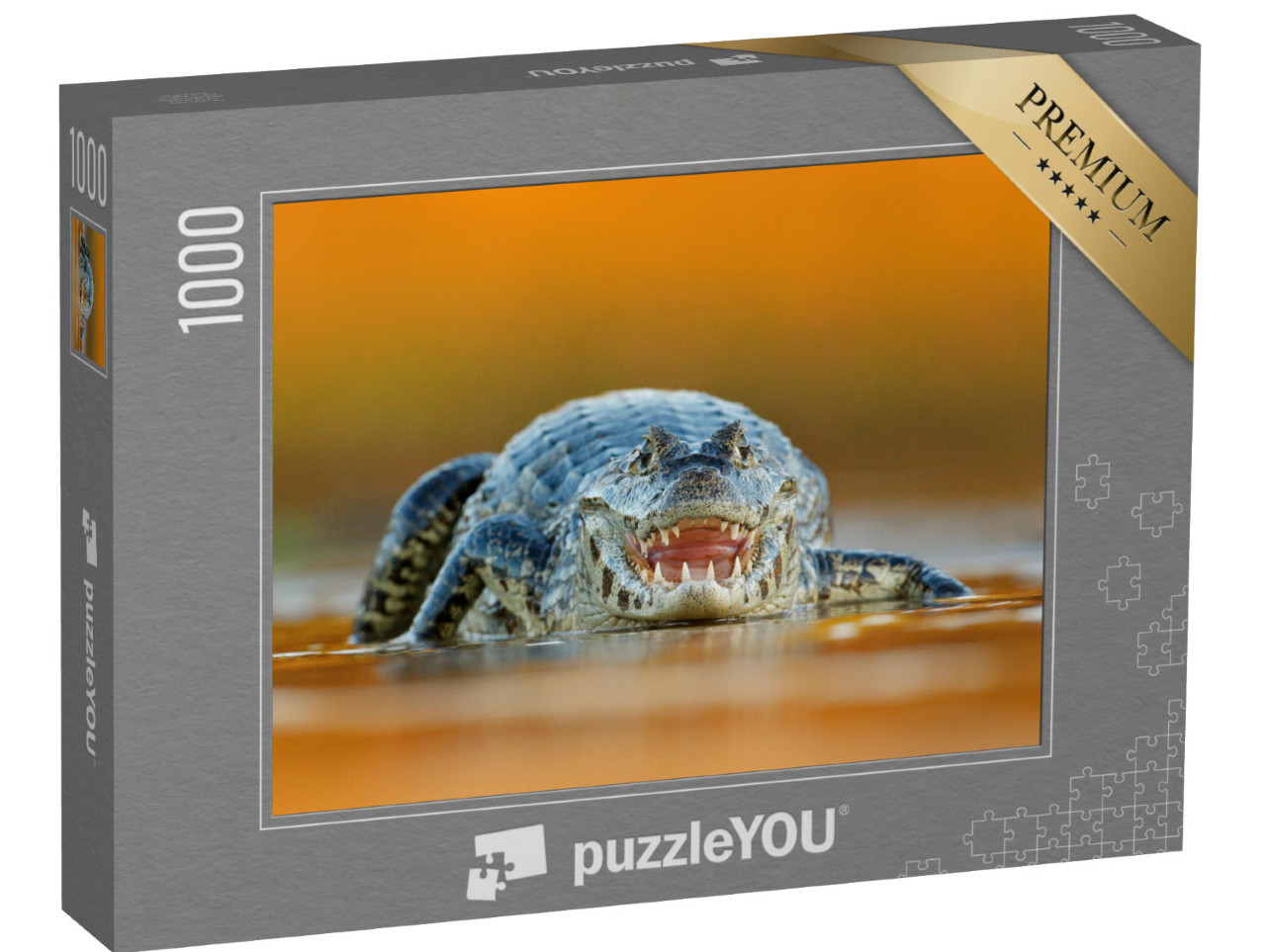 puzzle 1000 dílků „Yacare Caiman, krokodýl s otevřeným čenichem a velkými zuby“