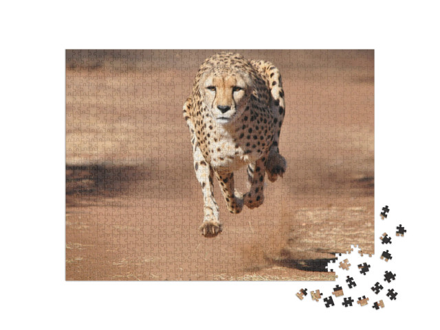 puzzle 1000 dílků „Gepard běží zcela ve vzduchu“