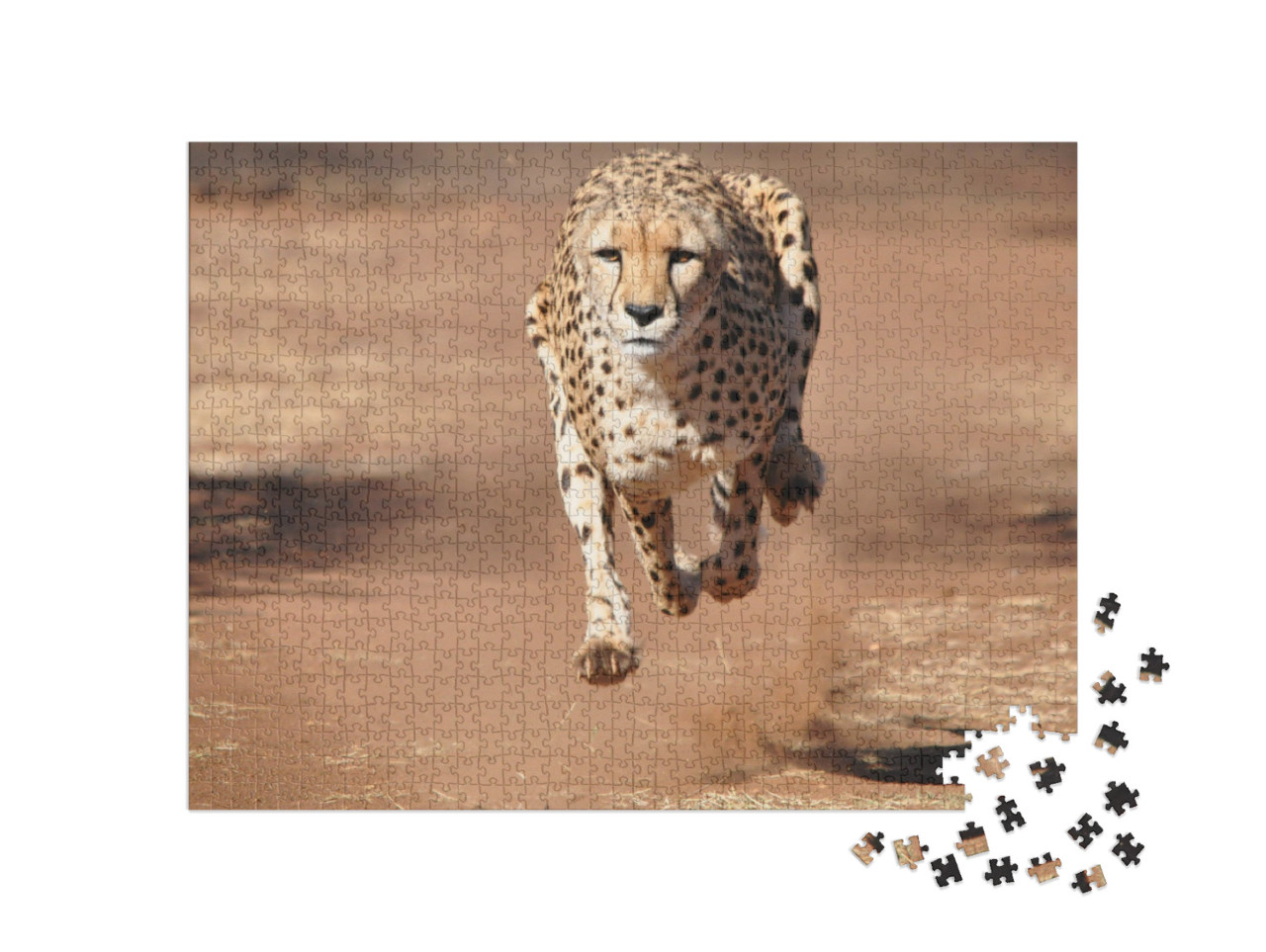 puzzle 1000 dílků „Gepard běží zcela ve vzduchu“