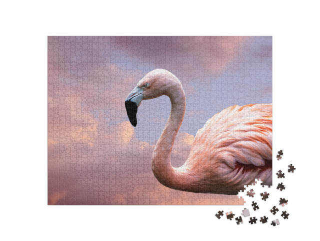puzzle 1000 dílků „plameňák americký, známý také jako plameňák karibský“