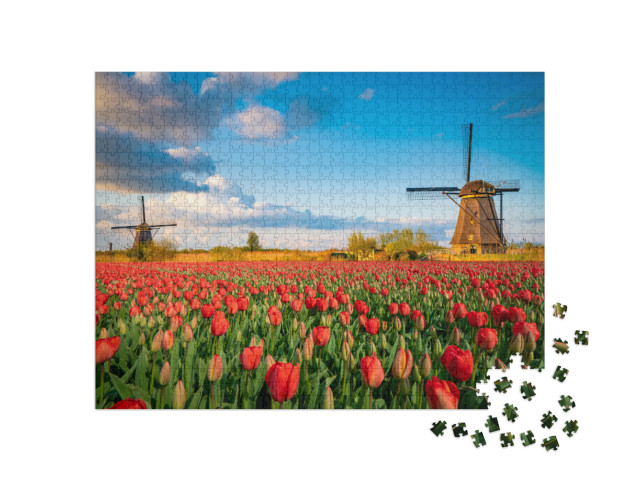puzzle 1000 dílků „Holandská krajina s větrnými mlýny a květy tulipánů“
