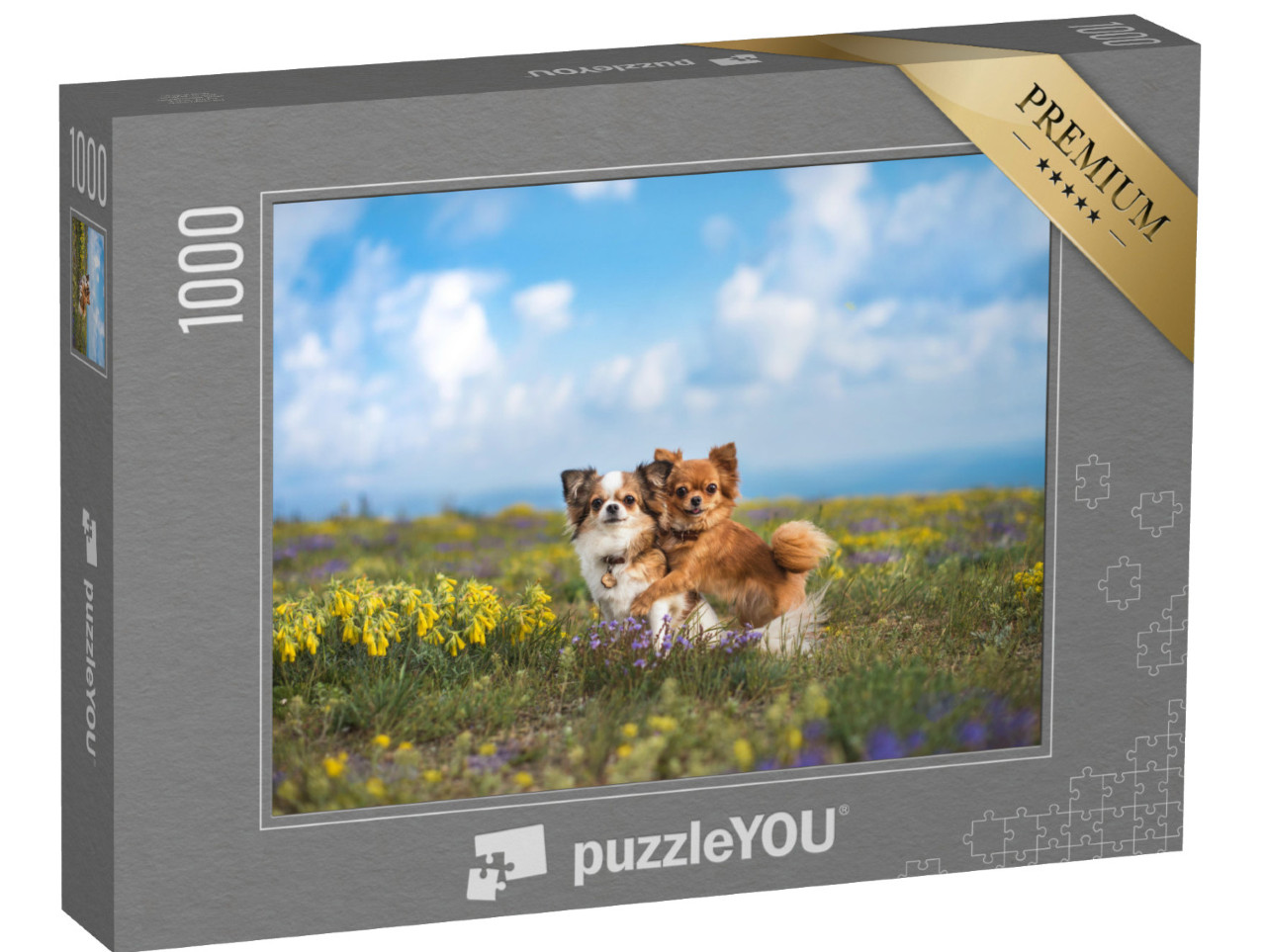 puzzle 1000 dílků „Čivava na zelené louce“