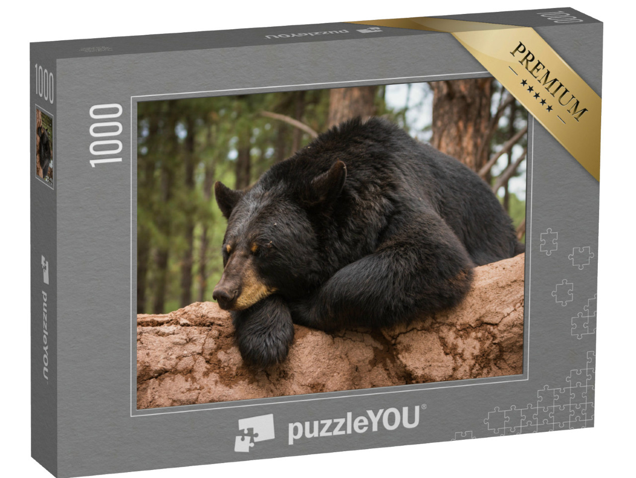 puzzle 1000 dílků „Medvěd na kmeni stromu“