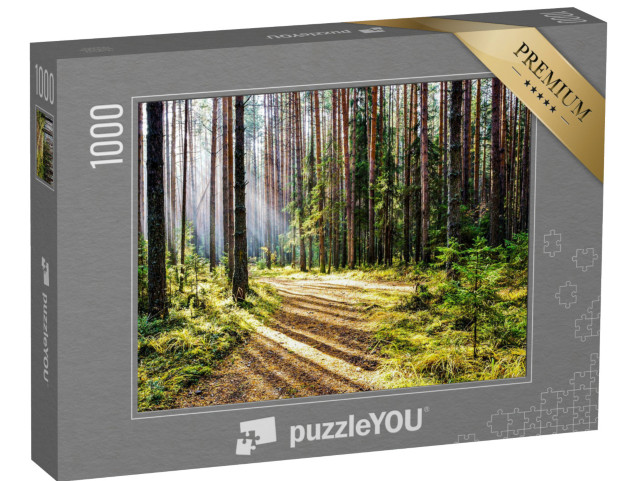 puzzle 1000 dílků „Stezka v klidném lese s paprsky slunce“