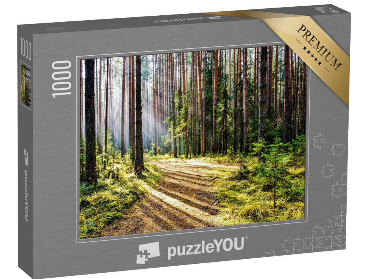 puzzle 1000 dílků „Stezka v klidném lese s paprsky slunce“