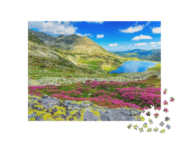 puzzle 1000 dílků „Ledovcové jezero, vysoké hory a růžové rododendrony, Karpaty, Rumunsko“