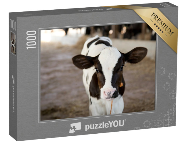 puzzle 1000 dílků „Zvědavé malé tele“