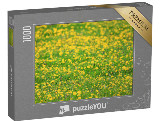 puzzle 1000 dílků „Žluté pozadí pampeliškového pole, abstraktní panoramatické...“