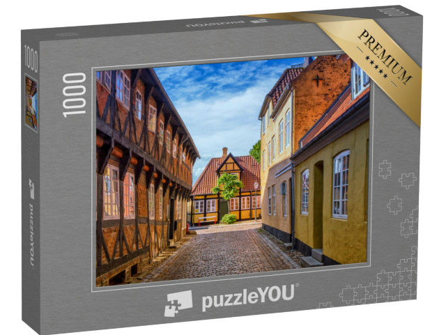 puzzle 1000 dílků „Ulice a domy středověkého města Ribe, Dánsko“