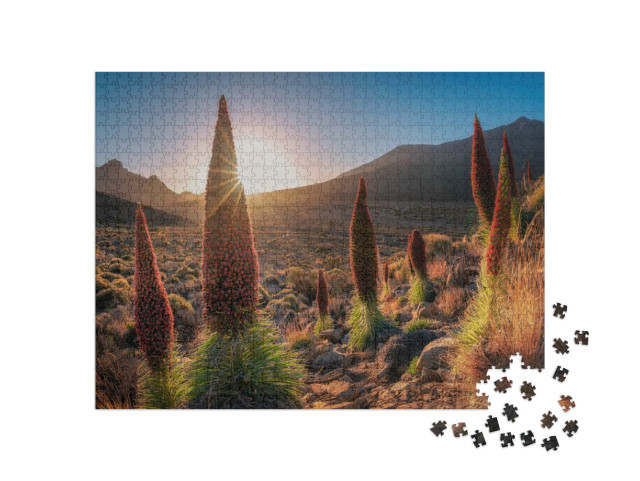puzzle 1000 dílků „Divoká krajina Tenerife, Kanárské ostrovy“