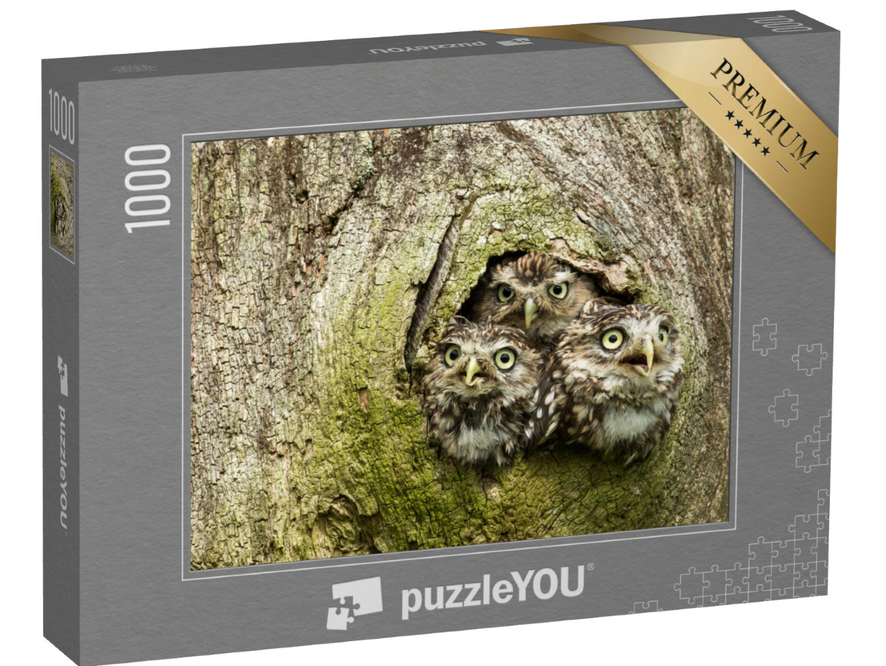 puzzle 1000 dílků „Tři malé sovy v dutině stromu“