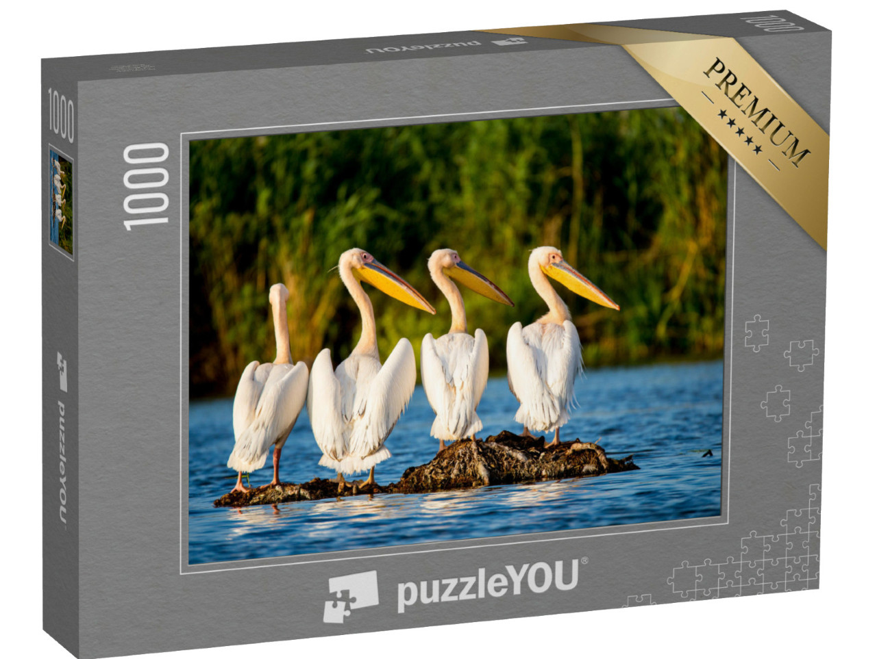 puzzle 1000 dílků „Kolonie pelikánů v deltě Dunaje, Rumunsko“