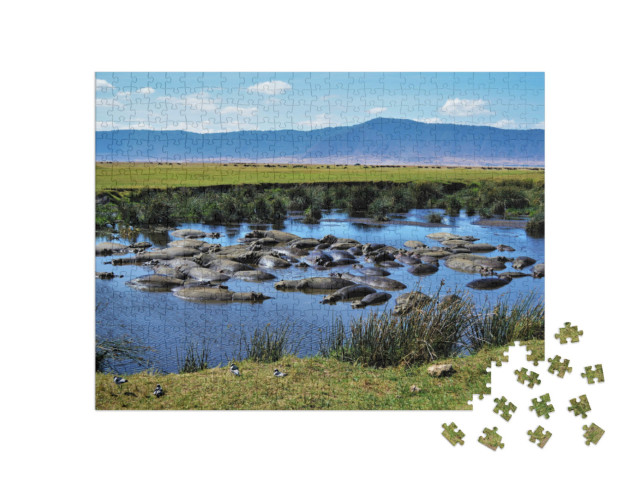 puzzle 500 dílků „Hroší kotlina, kráter Ngorongoro, Tanzanie“