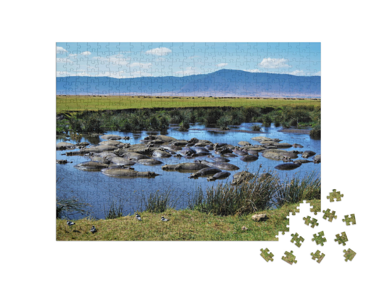 puzzle 500 dílků „Hroší kotlina, kráter Ngorongoro, Tanzanie“