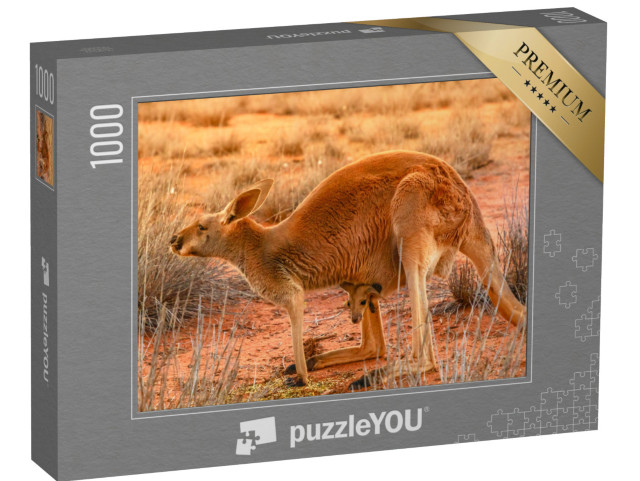 puzzle 1000 dílků „Klokaní matka s mláďaty v červeném písku ve vnitrozemí střední Austrálie“