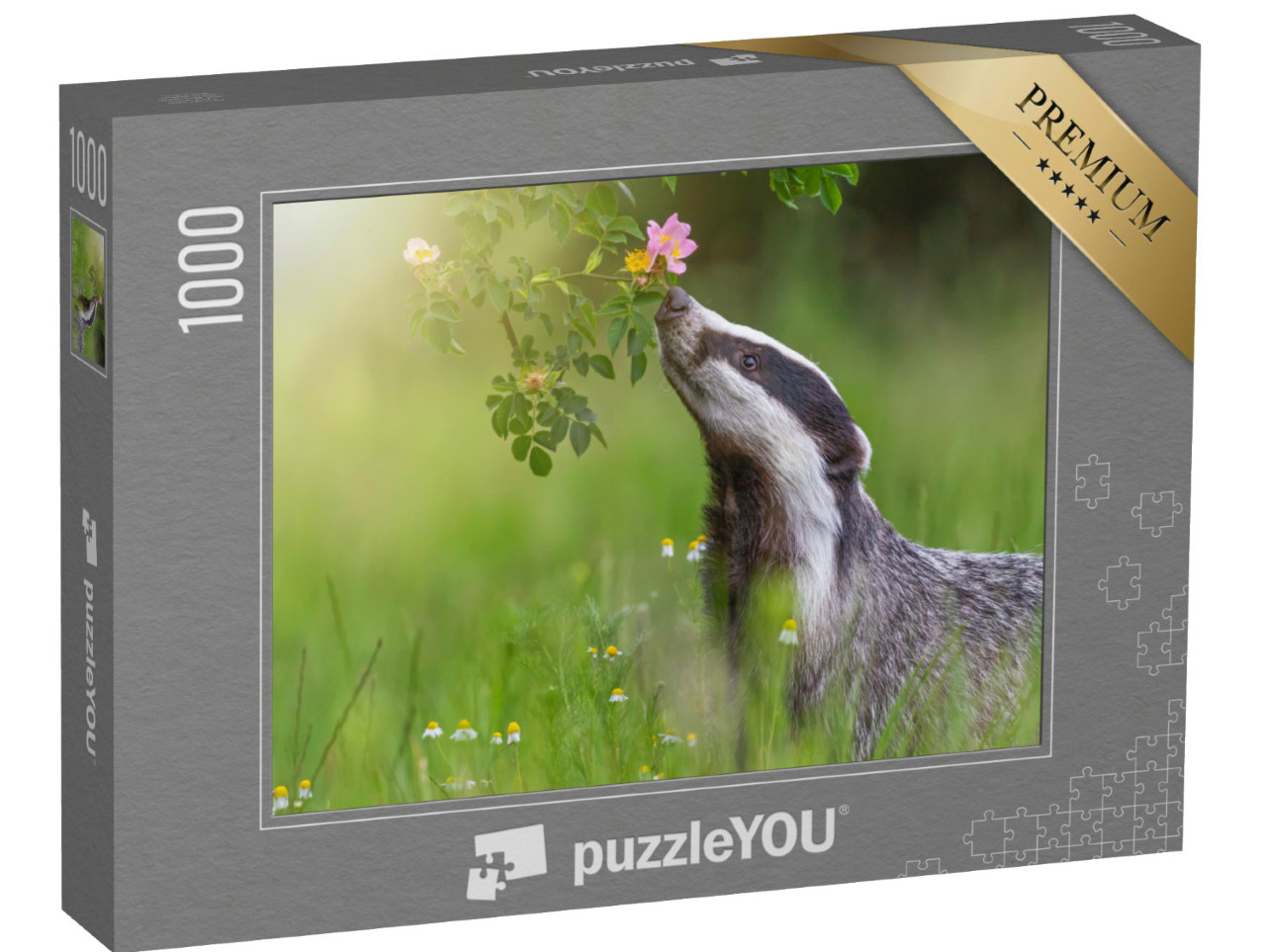 puzzle 1000 dílků „Jezevec evropský čichá k rozkvetlým divokým růžím“