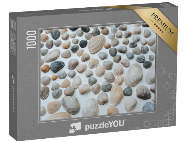 puzzle 1000 dílků „Mnoho krásných mušlí“