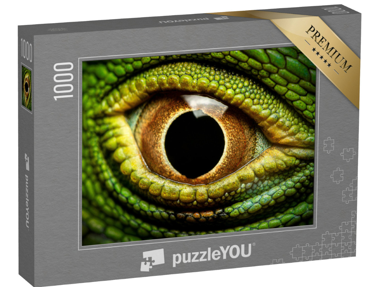 puzzle 1000 dílků „Makro snímek oka leguána zeleného“