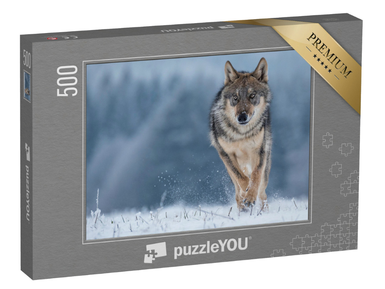 puzzle 500 dílků „Studie vlka šedého“