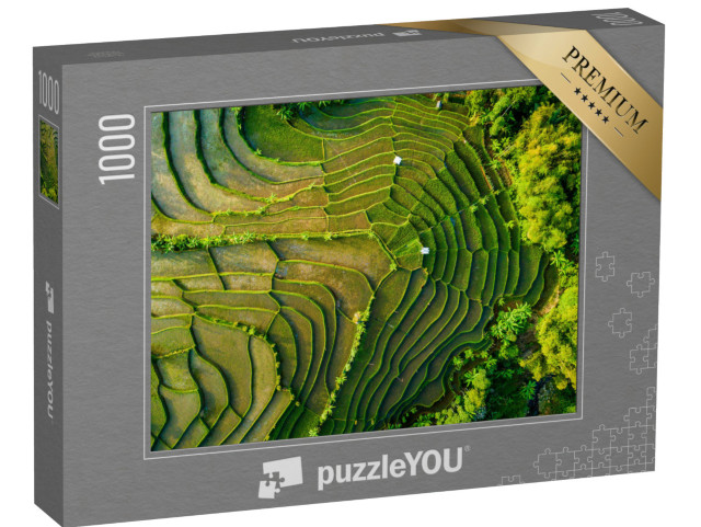 puzzle 1000 dílků „Terasa rýžového pole, Jáva, Indonésie“
