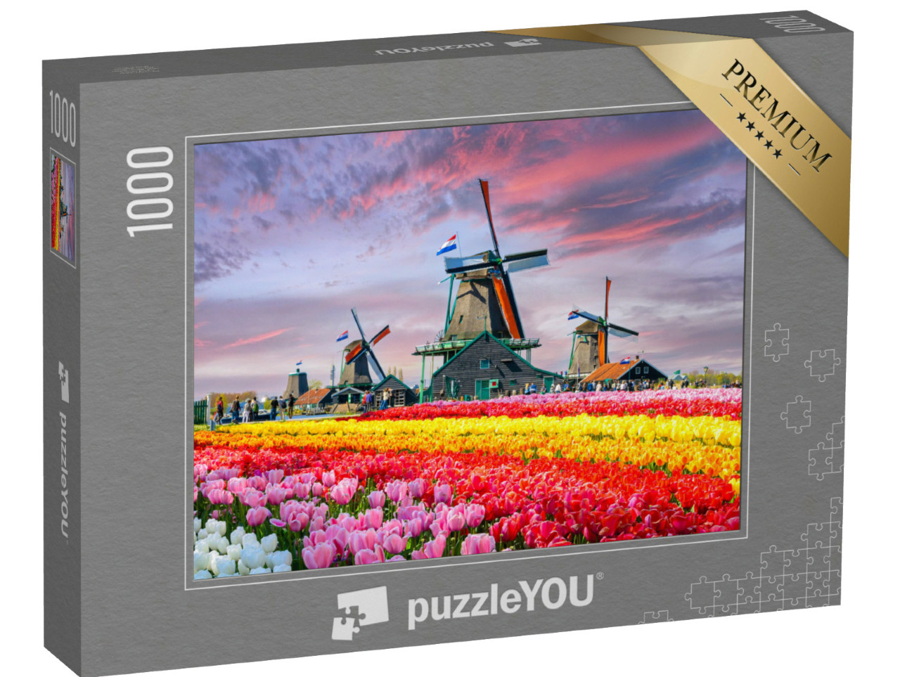 puzzle 1000 dílků „Krajina s tulipány a tradičními holandskými větrnými mlýny, Holandsko“