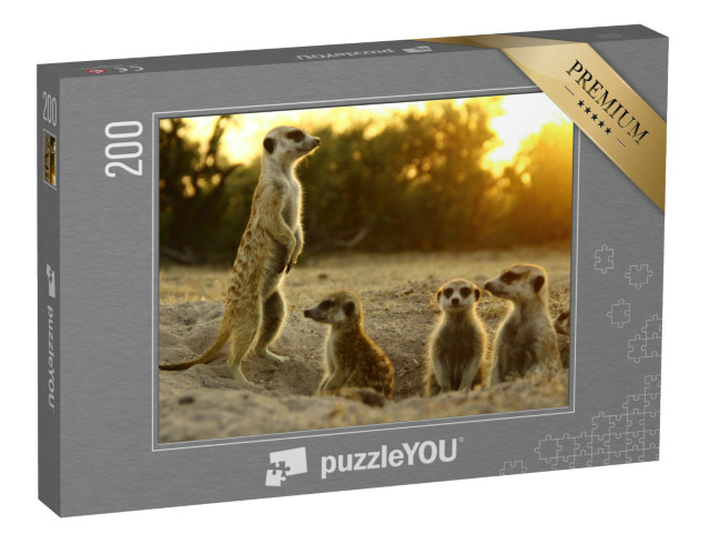 puzzle 200 dílků „Surikaty ve svém přirozeném prostředí“