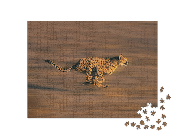 puzzle 1000 dílků „Gepard v plném běhu“