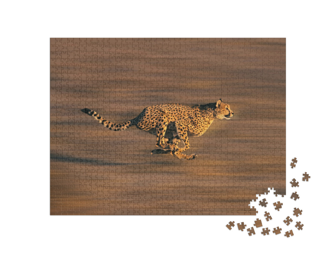 puzzle 1000 dílků „Gepard v plném běhu“