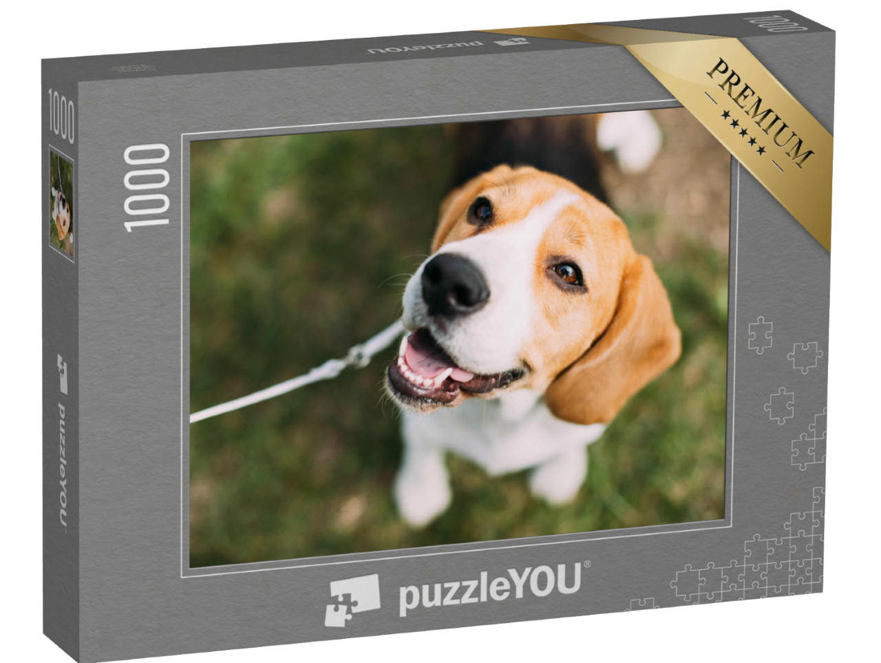 puzzle 1000 dílků „Štěně bígla na trávě“