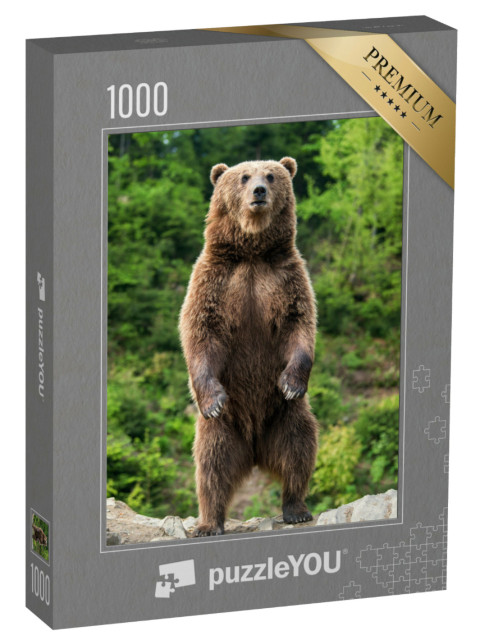 puzzle 1000 dílků „Medvěd hnědý na jaře“