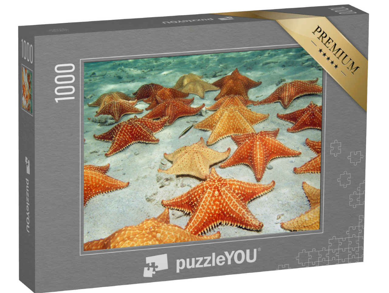 puzzle 1000 dílků „Hvězdice na písečném dně“