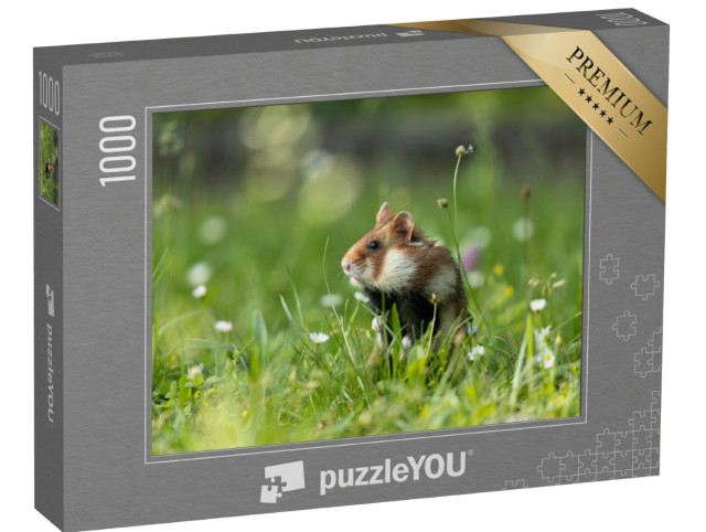 puzzle 1000 dílků „Křeček polní na zelené louce s květinami“