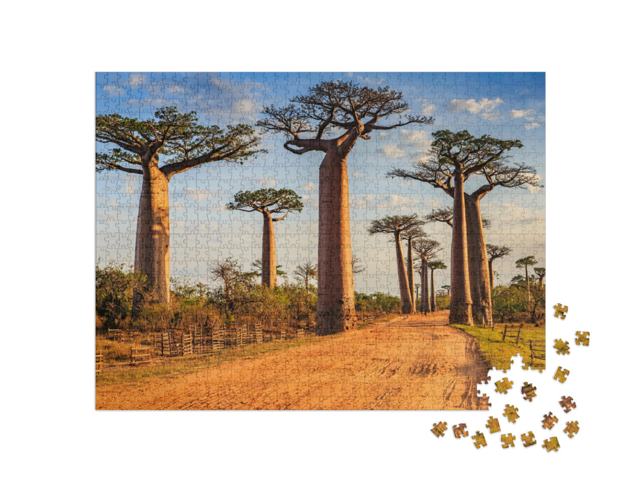 puzzle 1000 dílků „Unikátní alej baobabů, Madagaskar, Afrika“
