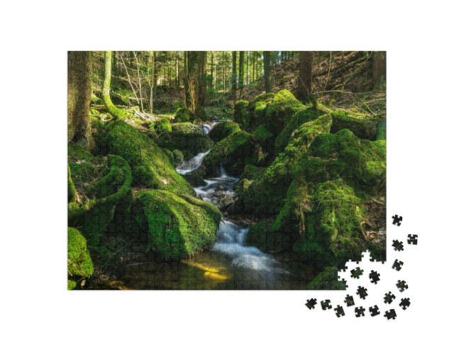 puzzle 1000 dílků „Malá řeka v Bavorském lese, Německo“