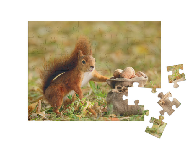 puzzle 48 dílků „Portrét veverky červené, která drží pytel ořechů“