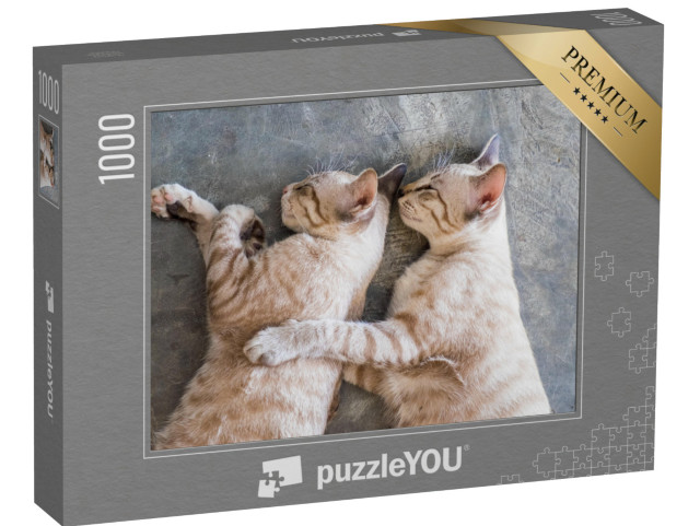 puzzle 1000 dílků „Dvě kočky si zdřímly“