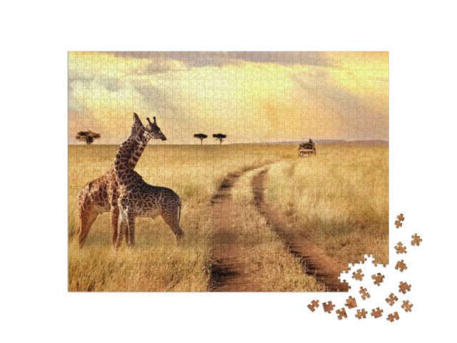 puzzle 1000 dílků „Dvě žirafy ve večerním světle“