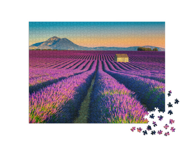 puzzle 1000 dílků „Levandulová pole u vesnice Valensole, Francie“