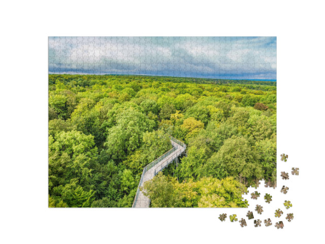 puzzle 1000 dílků „Procházka bukovými lesy v národním parku Hainich, Německo“