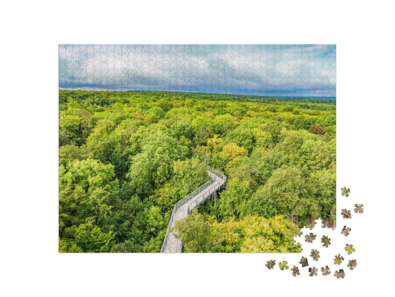 puzzle 1000 dílků „Procházka bukovými lesy v národním parku Hainich, Německo“